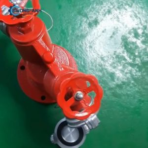 Họng tiếp nước chữa cháy 2 cửa D65 trụ cứu hỏa D65 Đầu trụ chữa cháy D65 2 cửa chất liệu gang đúc thiết bị phòng cháy chữa cháyTrụ chữa cháy 2 cửa D65 hàng chất lượng cao giá rẻ Hàng loại 1
