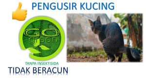 Cairan pengusir atau merubah kebiasaan pup kucing tinggal semprot saja