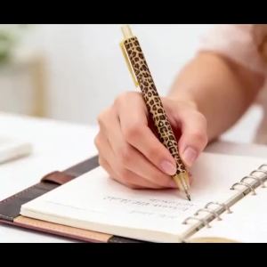 Leopard Print Retractable Ballpoint Pens – Stylish Smooth Writing Office Stationery Set Black Ink No Cap Multi-Color Barrel