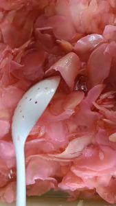 ขิงสามรส ตราวีออสจิปาถะ รสหวาน อมเปรี้ยว กรอบเค็ม กำลังพอดีรับประทาน