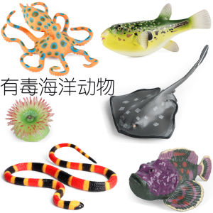 Toxic Marine Animal Mini Models Blue Ring Octopus Sea Anemone Monk Hat Jellyfish Stone Fish Children Cognitive Toys Simulation Dolls