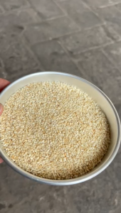 Wijen Putih 1kg Manfaat Biji Wijen Untuk Kesehatan Mendukung Kesehatan Tulang Dan Gigi - Lazada