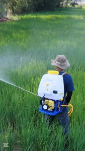 เครื่องพ่นยา เครื่องพ่นยาสะพายหลัง เครื่องฉีดยา 767 25 ลิตร ปั้มพ่นยา ทองเหลือง มี หม้อลม ยี่ห้อ Welmax