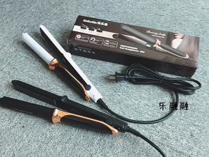 4-Gear Adjustable Temperature 2 in 1 Professional Flat Iron Hair Straightener Fast Warm-up Styling Tool For Wet or Dry Hair