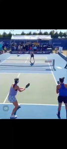 READY STOCK 22ft USAPA Regulation Portable Pickleball Net Official Tournament Size 36in Height Lightweight for Outdoor Indoor Games with Carry Bag