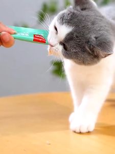 Cat Feeder Cat Treat Bar Squeeze Spoon Pet Feeder Pet Liquid Food Spoon Cat Food Pet Supplies