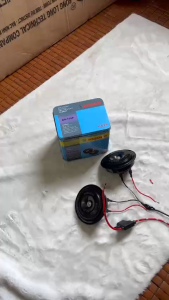 Còi đĩa Bsoech điện 12v và 24v dùng cho cả ô tôx e tải...(1 đôi)