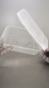 THINWALL KOTAK PERSEGI 650ML WADAH MAKANAN PLASTIK PLUS TUTUP BENING DM (25 PCS)