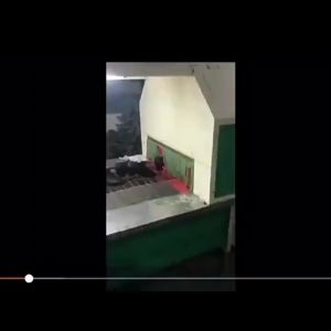 wish2023 Châu Âu Và Mỹ Phong Cách Mới Giản Dị Giày Thể Thao Mũi Tròn Đáy Phẳng Một Chân Cỡ Lớn Bán Buôn