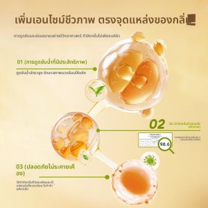 BUCATSTATE | Odor-removing Pet Bedding
