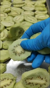 Nakoci Premium Kiwi Kering Organik - Camilan Buah Sehat Bebas Gluten NAKOCI Freeze Dried Kiwi Slice Asli Crispy Fruit Snack Viral HALAL Buah Kering Fresh Premium Pure Kiwi 30 gr