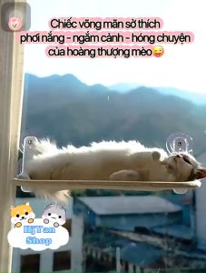 Võng nằm tắm nắng cho mèo treo gắn kính cửa sổ 4 giác hút size to siêu chắc và xếp được