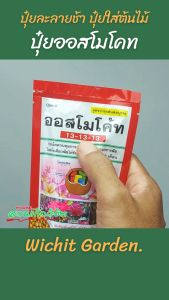 ปูนา 13-13-13 ใหม่เร้ง ต้นไม้ 1ครั้ง อยู่ 3เดือน ในการเจริญเติปโตของต้นไม้ ใส่ เพื่อประหยัดเวลาในการดูแลต้นไม้ หรือที่คุณมีสิ่งใดที่ควรระบุค่ะ