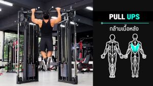 เคเบิ้ลครอส X800 (Commercial Grade) - เครื่องออกกำลังกาย แบรนด์ IVADE