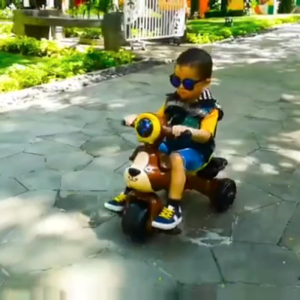 Sepeda Roda Tiga Anak Tricycle Bike Doggy Cartoon Series MVPToys