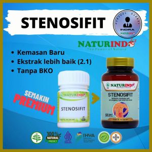 Obat Encok Nyeri Pinggang Punggung Belakang Syaraf Terjepit Ampuh Kapsul Herbal Stenosifit Naturindo