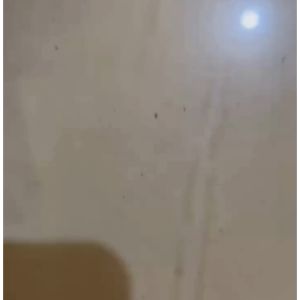 DINAMO KIPAS ANGIN SEKAI 12\" 4 KABEL ORIGINAL CAP 12 uf 450 VAC