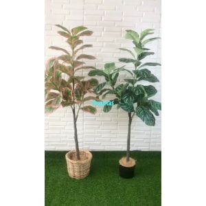 Pohon Plastik Tanaman Hias Daun Karet Merah Muda / Hijau Tua X3 T140 Cover Pot Rotan Bulat Dekorasi Kantor