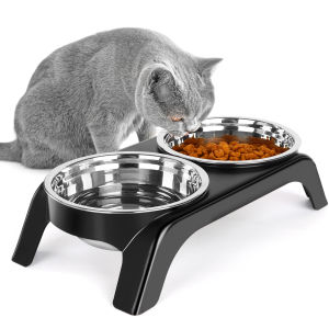 Elevated Cat Bowls Dog BowlStainless Steel Raised Cat Food Water Bowl Set with ABS  Anti Slip Stand for Indoor Cats