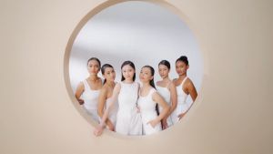 【NEW LAUNCH】NPURE CENTELLA ASIATICA FLAWLESS MATTE POWER CUSHION