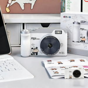 HEY CATS DAILY | Retro Beginner Card Camera