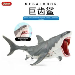 Educational Shark Models for Early Learning