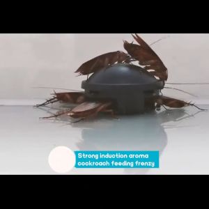 Long Acting Cockroach Killer Insect Killer Cockroach Medicine Household kitchen Japanese Cockroach Gel Bait Anti accidental touch design