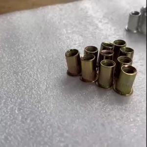 20pcs/lot Flat Head Rivet Nuts Stainless Steel Aluminum Carbon Steel Hollow Screws Insert Rivnut For M3 M4 M5 M6 M8 M10 M12