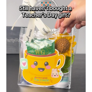 [SG Instock] Teachers Day Gift Sunflower Pot Thank You Teacher Stamp Appreciation Gift Card