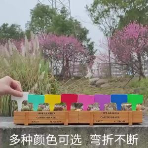 JeDa ป้ายพลาสติก mini ป้ายชื่อแคคตัส ป้ายชื่อสวน ป้ายไม้ดอกไม้ garden label มีสินค้าพร้อมส่ง