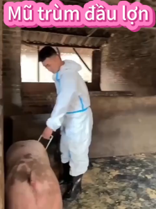 <gk>  Đầu lợn bao gồm túi đặc biệt bắt lợn trang trại chăn nuôi chuyên dụng bắt lợn đuổi lợn sử dụng vòng nhựa