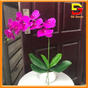 Chậu Hoa Giả Hoa Lan Hồ Điệp Cao Su Cao Cấp Cao 53CM Trang Trí Bàn Ăn Phòng Khách Kệ Bàn DC-211