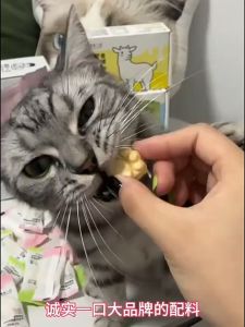 Honestbite Cats Paw Treats Freeze Dried For Cat 11g 诚实一口猫爪零食冻干 11g