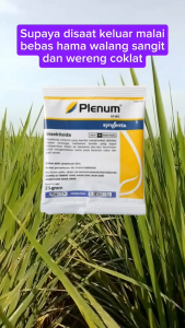 INSEKTISIDA PLENUM 50 WG KEMASAN 25 GRAM Pembasmi Hama Wereng Serangga Penghisap Ulat dan Kutu