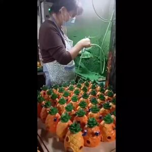 Các mẫu nhà hàng dứa tượng Phục sinh lâu đài Ớt làm nhà cho cá tép cảnh bể thủy sinh terrarium
