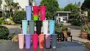 SUN HARDWARE Leak Proof Studded Cup Double Wall Acrylic Tumbler with Reusable Straw