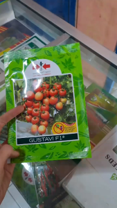 BENIH TOMAT GUSTAVI F1 CAP PANAH MERAH