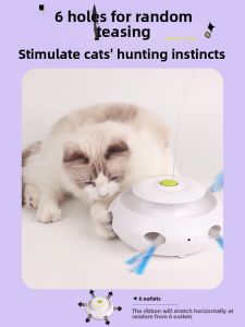All for paws | Đồ Chơi Mèo Tự Động Tương Tác