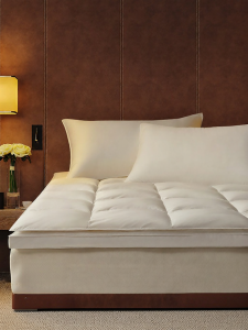 KANGERXIN | Warm Goose Down Filling Cushion