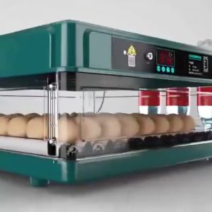 220V/12V DUAL POWER 130 Green Eggs Fully Automatic Digital Incubator Chicken Poultry Hatcher Temperature Control egg tray Incubator egg incubator Duck Goose Quail Birds Brooder Digital Humidity Temperature Control Hatching machine incubator