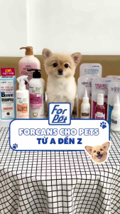 tổng hợp Dầu tắm gội xả hãng FORCAN dành cho chó mèo ( Lông xoăn da nhạy cảmlông trắng xoăn trắngBaby Powder ) - T3