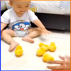 Gà Con Chạy Bằng Cót Cực Dễ Thương