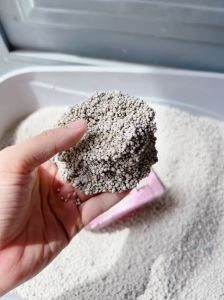 Cát vệ sinh mèo Nhật Đen siêu thấm hút vón cục nhanh ít bụi khử mùi tốt thơm dịu giá rẻ