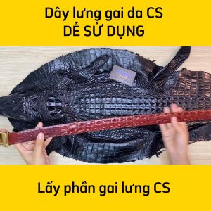 [FREE SHIP] Nịt Da Cá Sấu Thật Cho Nam - Ovenis
