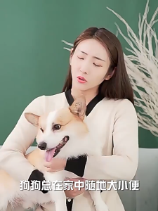 Pet Defecation Inducer Potty Spray Training Dog Pet Pee Inducer Guided Toilet Training Potty Spray