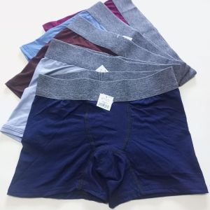 3 Pcs Celana Dalam Anak Laki Laki Boxer Polos CD Karet Nyaman Remaja Cowok Katun