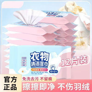 Portable Disposable Wet Wipes for Stain Removal Clothing down Jacket Oil Cleaning 12 Pieces Pack PISSA Brand 160x140mm Size