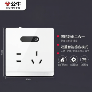 Bull | Home Control Switch Panel Dual & Single Control