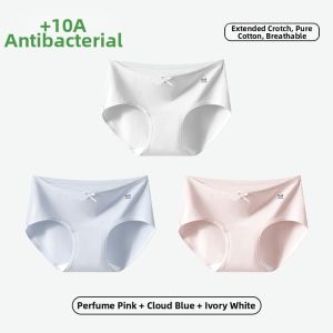 MiiOW | Cotton Antibacterial EO Sterilized Non-Wash Womens Briefs