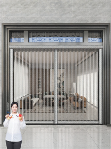 Watthour | Magnetic No-Drilling Anti-Mosquito Door Curtain